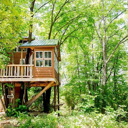The Cottage Treehouses Hermann Dış mekan fotoğraf